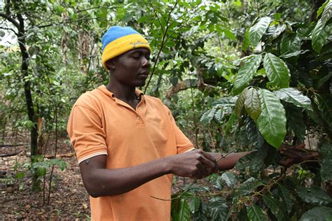 “Working Together, Hand in Hand” Overview of a Haitian Mission… | CECI