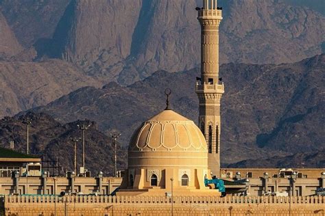MZAR (2026) All You Need to Know BEFORE You Go (with Photos) - Tripadvisor