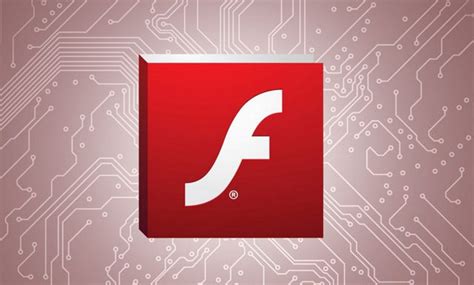 Adobe Flash 11
