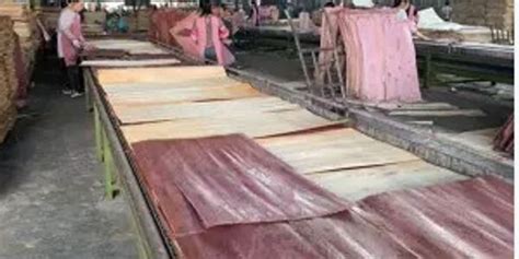 Plywood Industry | Enviro Breeze