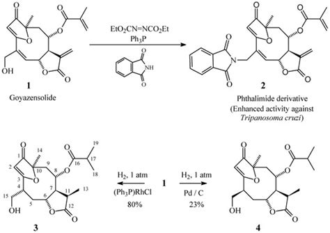 Reduction and Preparation of a Phthalimide Derivative from a Furo ...