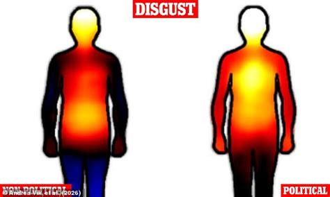 Your feelings towards politics, mapped: Charts reveal where political ...