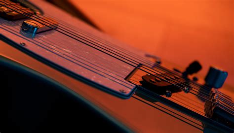 Image result for Native Instruments Bass