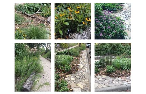 Ecological Landscaping Basics, Minnesota Tool Library - St. Paul Branch ...