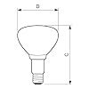 PHILIPS Br125 Ir 250 Watts E27 Incandescent White Heating Lamp Bulb ...