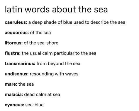 Commander of Trash - Latin Words About the Sea
