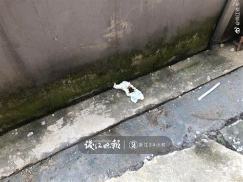 从上海来福州喝喜酒7岁男孩坠楼身亡(组图)