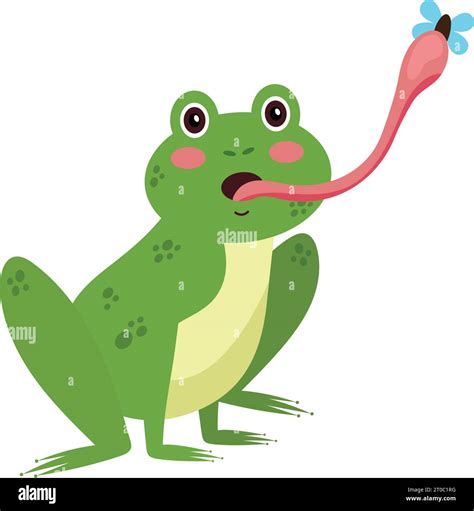 Frog tongue catch hi-res stock photography and images - Alamy