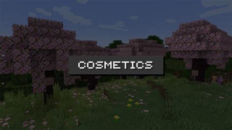 Image result for Cosmetics Mod 1.8.9