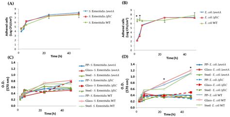 The Role of Flagellum and Flagellum-Based Motility on Salmonella ...