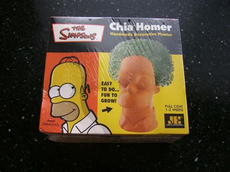 Simpsons Homer Simpson Chia Pet ~ New Factory Sealed Vintage | #3780032224