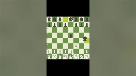 Image result for Checkmate Tips