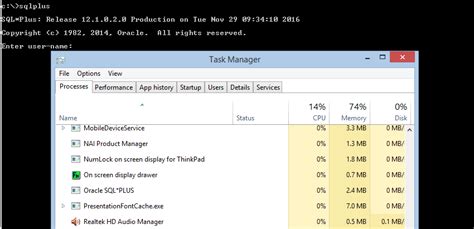 Oracle Client 32-Bit 的图像结果