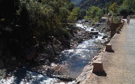 DAR JEDDY (Ourika) - Lodge Reviews & Photos - Tripadvisor