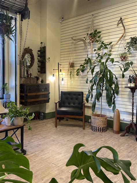 OAK BRUSH - Durango Hair Salon