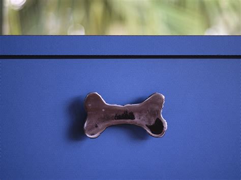 Crescent City Vet — Curtis Herring Interior Design