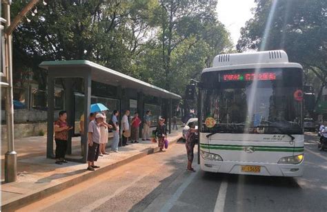 终于等到你！岳阳史上最长城市公交线路开通！