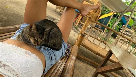 NEVERLAND MALAPASCUA (Malapascua Island, Cebu Island) - Lodge Reviews ...