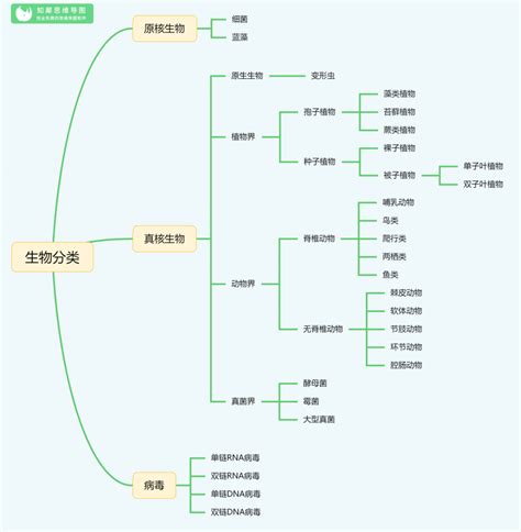 初三物理思维导图 | 九年级物理知识框架图 | 人教版 - 知乎