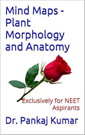 Mind Maps - Plant Morphology and Anatomy: Exclusively for NEET ...