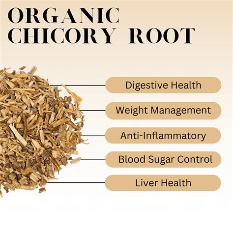 What is Chicory Root? - History, Benefits, and More – Full Leaf Tea Company