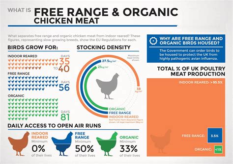 What Is Free Range And Organic Chicken Meat | Organic chicken, Free ...