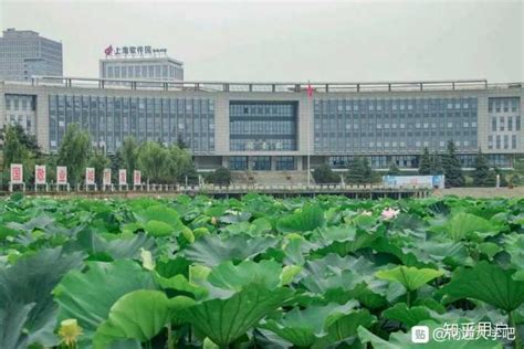 南京邮电大学宿舍条件怎么样，有空调吗（含宿舍图片）_大学生必备网