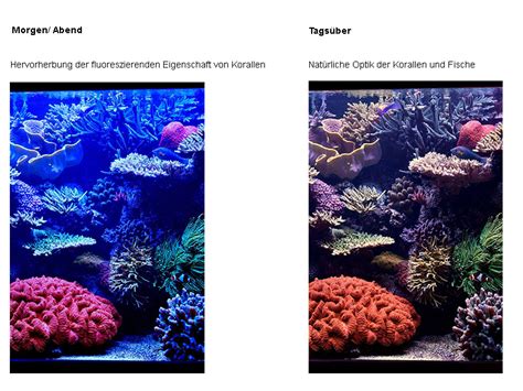 Philips Coral Care Gen2 LED-Leuchte [kaufen & informieren] auf ...