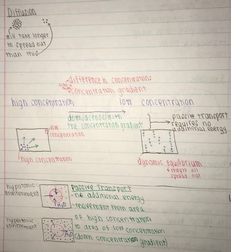 Image result for Bio Chapter 4 Quiz