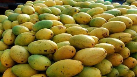 Meet the daughter of MP who sells mangoes - India Today
