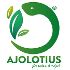 Working at Ajolotius | Glassdoor