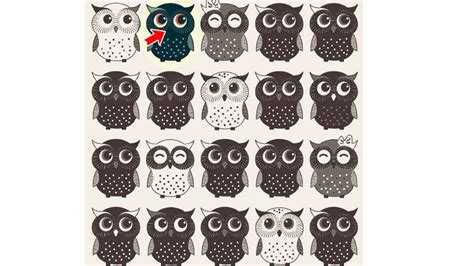 Brain Teaser: Accept the challenge to spot the Alien Owl in the ...