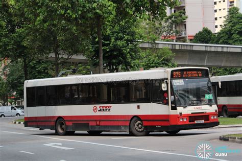 Bus 975: SMRT DAF SB220 (TIB707C) | Land Transport Guru