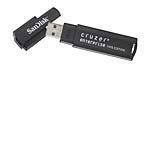 SanDisk Cruzer Enterprise 8 GB USB Flash Drive : Amazon.in: Electronics