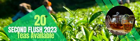 Golden Tips Tea: Buy Premium Loose Leaf Indian Tea, Direct from source