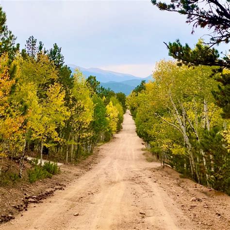 Bailey Base Lazy 的图像结果