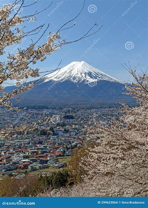 Japan View 的图像结果