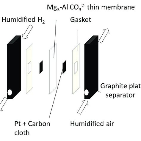 Image result for AO2 O2 Cell Uses