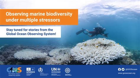 Image result for Global Observing System