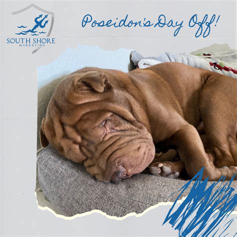 South Shore Marketing on LinkedIn: #mascot #dayoff #southshore #poseidon #tired