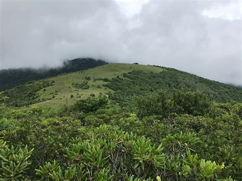 Lee County Hiking Club: Carvers Gap/ Roan Mountain Hike