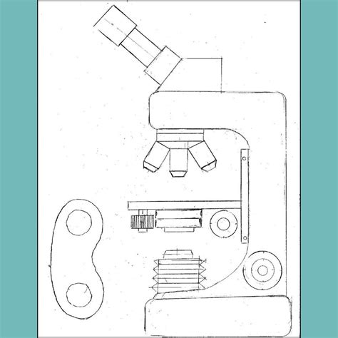 Image result for How to Make a Microscope at Home