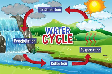 water cycle #3798889 | Clipart Library