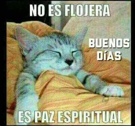 Buenos Dias Meme Chistoso