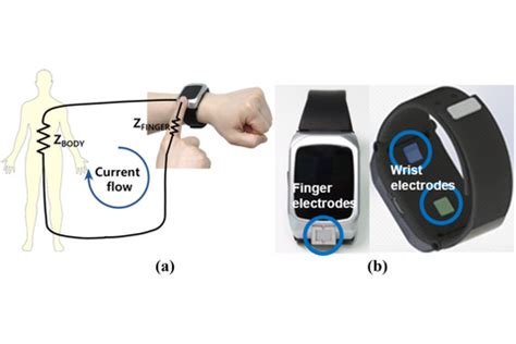 Biomedical Sensors: Types & Working – Robocraze
