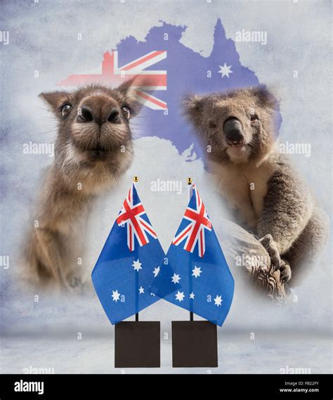 Map of australia koala hi-res stock photography and images - Alamy