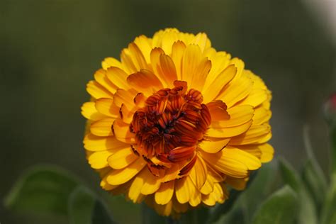 Math Background 4K 的图像结果