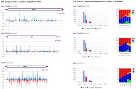 Cannabis Virome Reconstruction and Antiviral RNAi Characterization ...