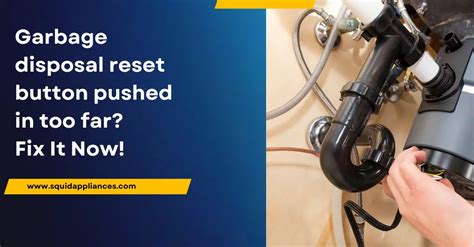 Garbage Disposal Reset Button Not Working 的图像结果