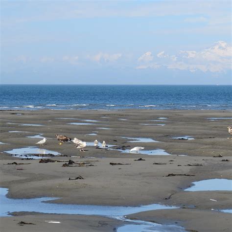 ANCHOR RIVER STATE RECREATION AREA (2025) All You Need to Know BEFORE ...